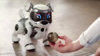 The Entertainer - Teksta Voice Recognition Puppy