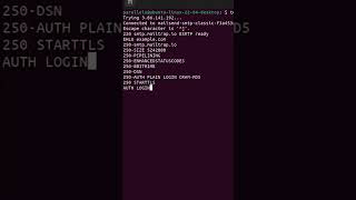 The 2 Minute Telnet Test Email Hack That Saves Hours