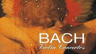J S  Bach  - The Violin Concertos