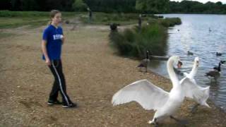 Jennifer kämpft mit dem Schwan