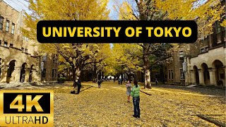 TOKYO, JAPAN 🇯🇵 [4K] UNIVERSITY OF TOKYO — Autumn Walking Tour