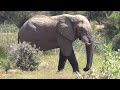 An afternoon on the Metsi Lodge deck