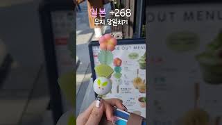 우지 당일치기 ( +첫말차  후기)