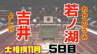 初土俵から8場所負け越し無しの吉井が幕下で3連敗 / 吉井-若ノ湖/大相撲2020年11月場所5日目