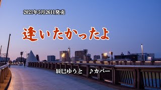 『逢いたかったよ』辰巳ゆうと　カバー　2021年5月26日発売