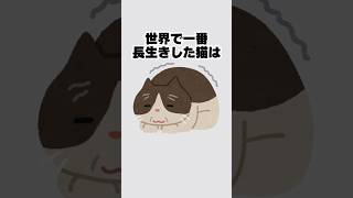 【雑学】猫に関する雑学