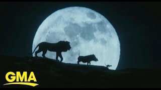 See Scar, Timon, Pumbaa and more in new 'Lion King' live-action trailer l GMA