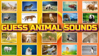 Guess the Animal Sounds : A Fun Quiz Game to Test Kids' Animal Knowledge