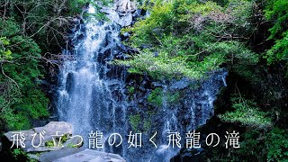 神奈川県 飛龍の滝 自然を歩く 癒しの映像 日本の絶景  癒し風景 Japan  Fresh Green Nature Relaxation