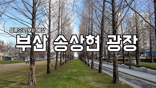 [드론이야기] 부산 송상현 광장 Busan Songsanghyeon plaza