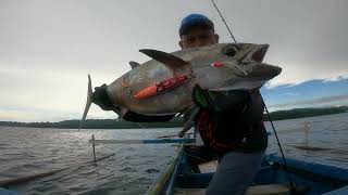 Strike Dogtooth Tuna Menggunakan Rod Takamitechnos Moz 624 LM