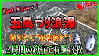 【五島 石鯛釣り】20240608釣行！今回は回収が早かったので、即日ＵＰ！2時間の釣行で本石3枚！富江・二子のシンナガ