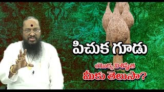 Sparrow Nest Uses || పిచుక గూడు ఉపయోగాలు || Pichaka Goodu || Dr.K.Atchi Reddy || OM SHAKTHI TV