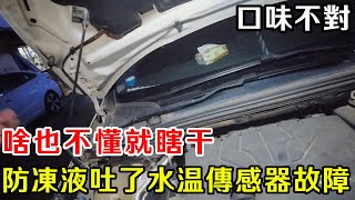 啥都不懂就亂加防凍液，這情况怎麼解釋，尼桑藍鳥覺得防凍液不對口味，雪鐵龍C4也喝多了【暴躁的車輪】