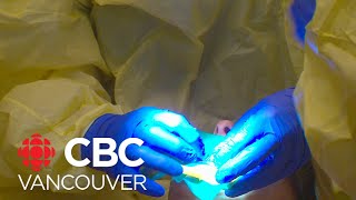 Why is a Vancouver dentist offering a discounted service?