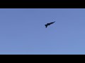 f 16 zeus flight corfu 21 5 2019