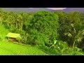 bali rice terrace aerial adventure indonesian island travel experience unesco jatiluwih drone