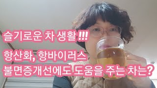 슬기로운 차 생활 /  항산화, 항바이러스, 불면증 개선에 도움을 주는 차는?