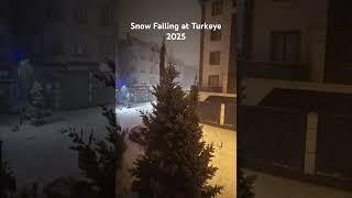 Snow Falling at Turkeye 2025