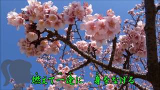 寒桜 （西方裕之）　Cover　渡辺幸子