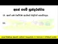 අපේ ගමේ සුන්දරත්වය ‍ rachana pencha the beauty of our village sample essay shishyathwa essay