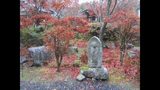 滋賀の寺院　常楽寺の石仏群