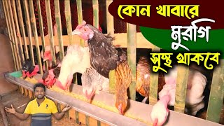 এই শীতে মুরগি কে কোন খাবারে সুস্থ রাখবেন।। দেশি মুরগি পালন_পদ্ধতি