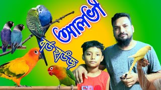 Alvi bird house/কেরানীগঞ্জ, জিনজিরা বাস স্ট্যান্ড সংলগ্ন, সকল ধরনের পাখি ক্রয় বিক্রয় করা হয়|