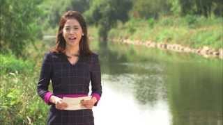 [EIDF2013] 10월 25일 오늘의 EIDF