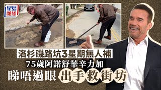 阿諾舒華辛力加｜洛杉磯路坑拖3星期無人補 75歲「大隻佬」阿諾出手救街坊