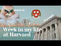 First week of harvard | spring move-in vlog as a college student