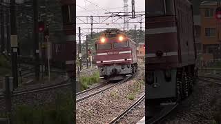 EF81-716 （+600前は(716-600)でEF81 -116）車体裾部の白線　運転室側面の落とし窓の点検蓋が特徴　山内寛行　撮影