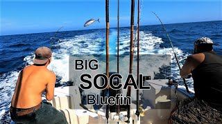 Fishing Big Bluefin Tuna SoCal Catalina OffShore Madmacs