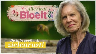 Emely's Tuin | Alles Wat Bloeit