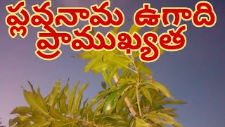 #ఉగాది ప్రాముఖ్యత #Importance of Ugadi #Ugadi Rasifalalu