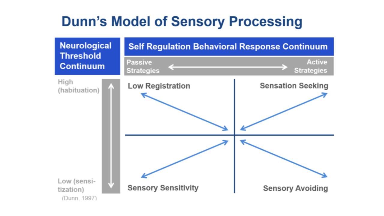 Dunn's Model Of Sensory Processing Video - Carrie Ciro | MedBridge ...