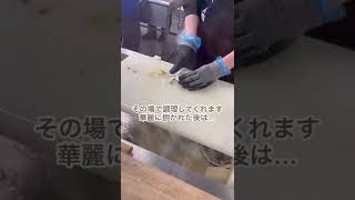 水族館で釣りできちゃうの知ってる？【うみファーム】🐟　#魚 #魚釣り #釣り堀 #八景島シーパラダイス #水族館 #海 #夏休み