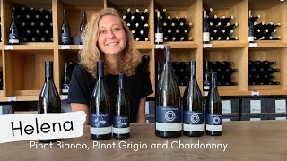 Helena about Pinot Grigio, Pinot Bianco and Chardonnay