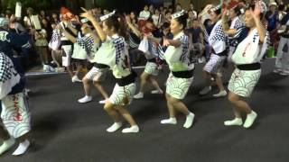 鳳連／ 第46回 初台阿波踊り2015 初日