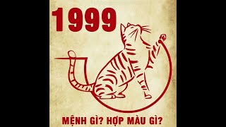 Tuổi Kỷ Mão sinh năm 1999 mệnh gì? Hợp với ai? Tuổi con gì?