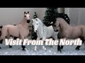 Visit From The North - Schleich Horse Short Film - |Phoenix Stables