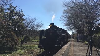 『C11325＋50系客車・快速 SLもおか[6001レ]』2018/10/7(真岡鐵道・多田羅駅 到着！) # 真岡鉄道