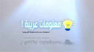 التكنلوجيا التكنلوجيا