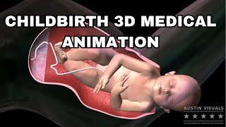 Childbirth 3D Medical Visualization | 3D Medical Animation | Austin Visuals 3D Animation Studio