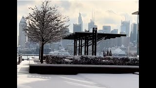 【東京小龍女の Life】错过东京四年不遇的大雪，迎来纽约2022年的第一场雪，美爆了！