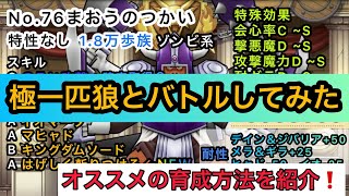 【ドラクエウォーク】極まおうのつかいとバトル‼︎オススメの育成方法も解説‼︎