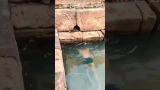 Under Water Shiva Temple | Badami | Know Temples