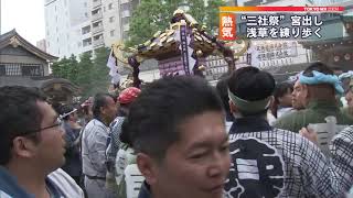 三社祭宮出し 熱気は最高潮