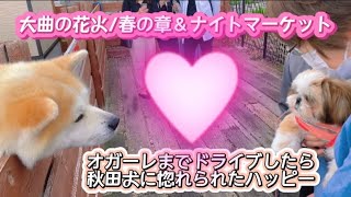 vlog秋田/大曲の花火春の章とイベント/男鹿道の駅オガーレまでドライブしたら秋田犬に惚れられた⁈