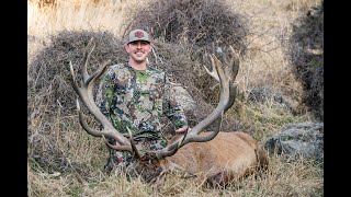 Free Range Red Stag Hunt with Blackstone Outfitters New Zealand